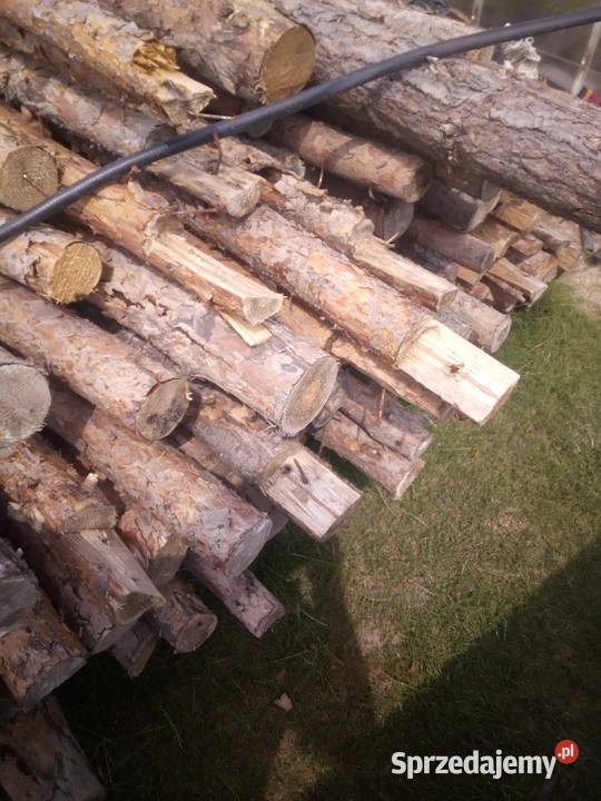 stęple drzewiane Kielce sprzedam