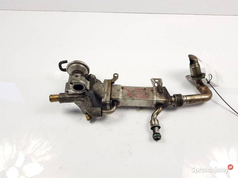 CHŁODNICZKA SPALIN AUDI A8 D3 057131512G Pozostałe