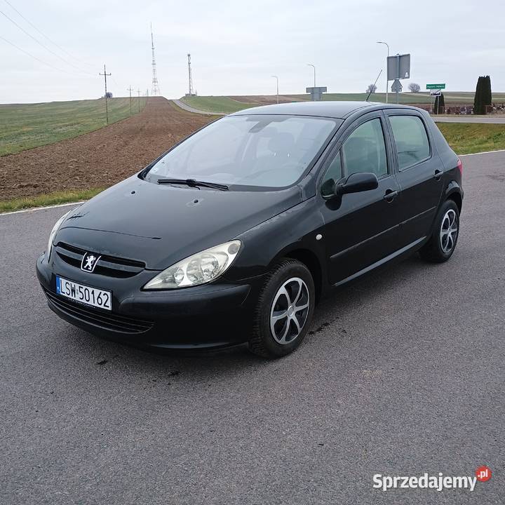 Peugeot 307 16 Benzyna Zamiana Przyjme Samochod Bychawa