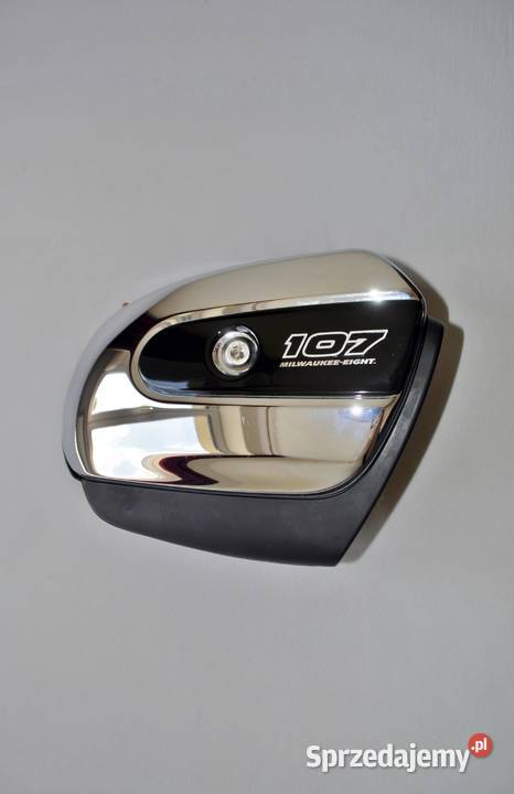 Harley Davidson Touring OEM Milwaukee Eight 107 Hajnówka