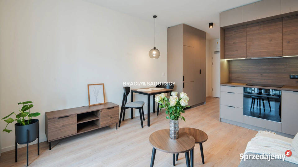 Mieszkanie 246m2 Kraków Romanowicza małopolskie sprzedam