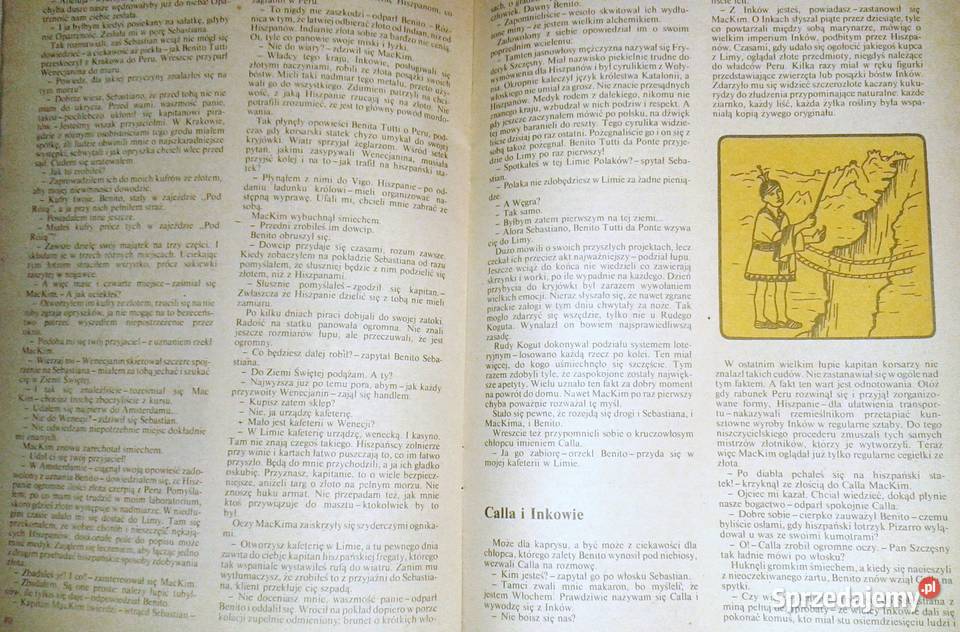 Spadek synach Słońca Aleksander Rowiński Chełm