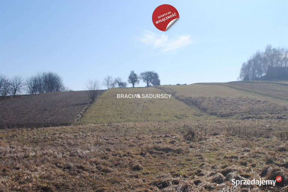 Sprzedaż gruntu Bodzanów 6650 metrów asfalt Sprzedaż