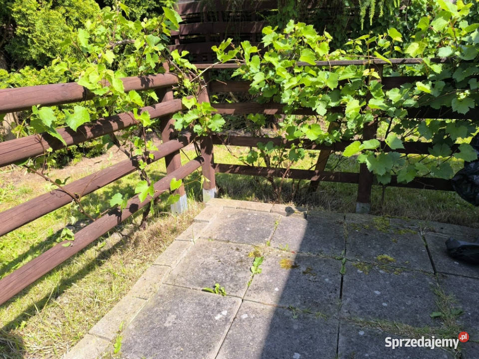 Działka ROD z przyczepą morzem Niekłonice