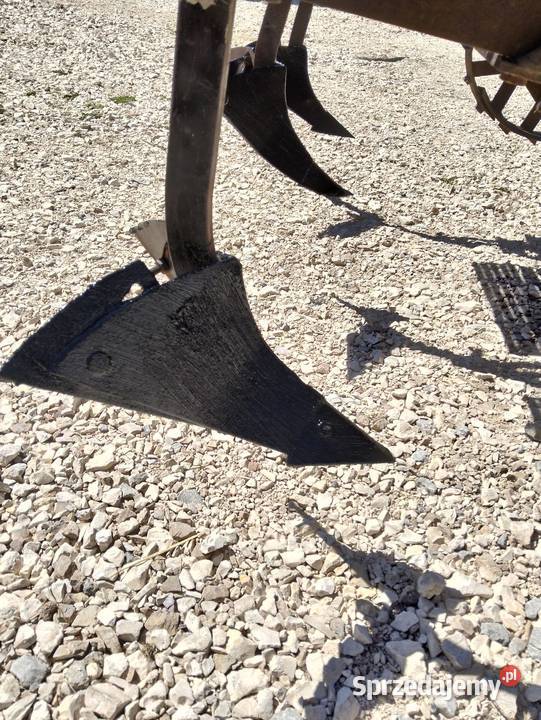 Sadzarka do ziemniaków AKPIL Maszyny rolnicze świętokrzyskie sprzedam