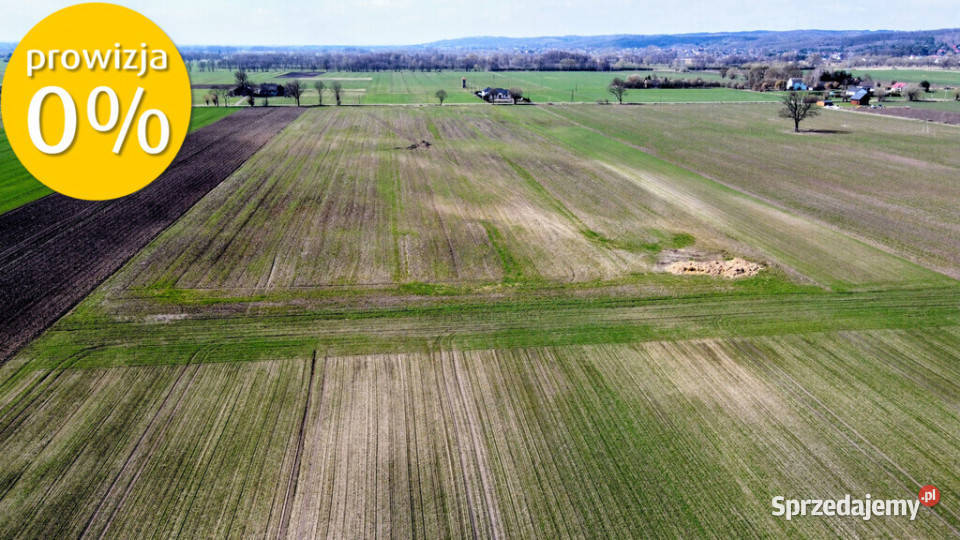 Grunt 449 ha z koncepcją 5 domów Jenin 0 Sprzedaż