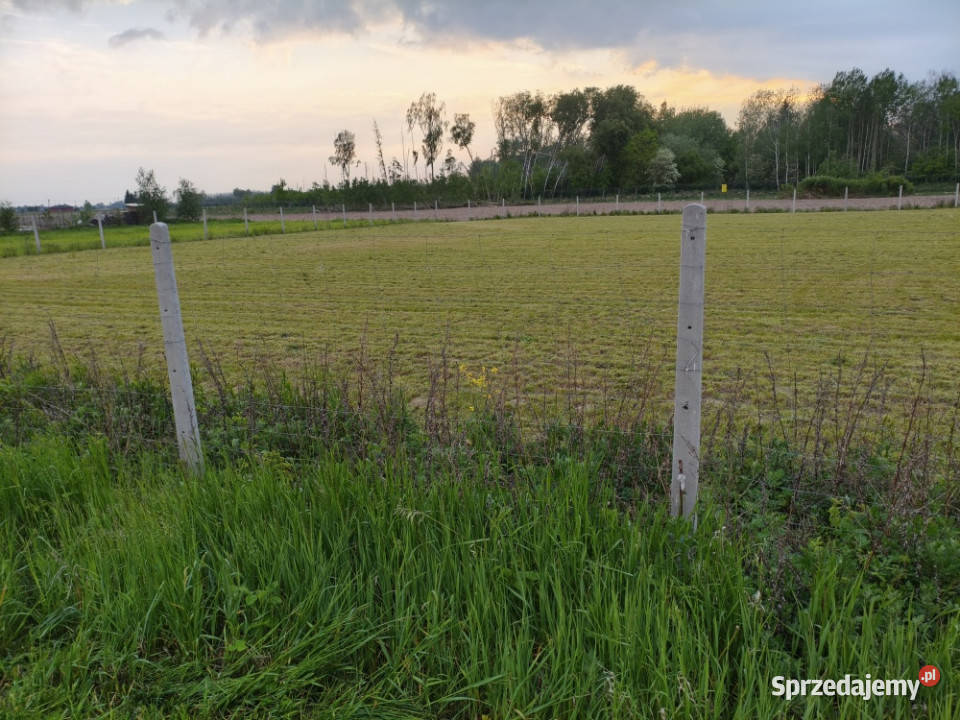 Działka na sprzedaż Witoldów sprzedam
