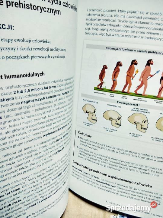 Historia operon rozszerzenie Warszawa