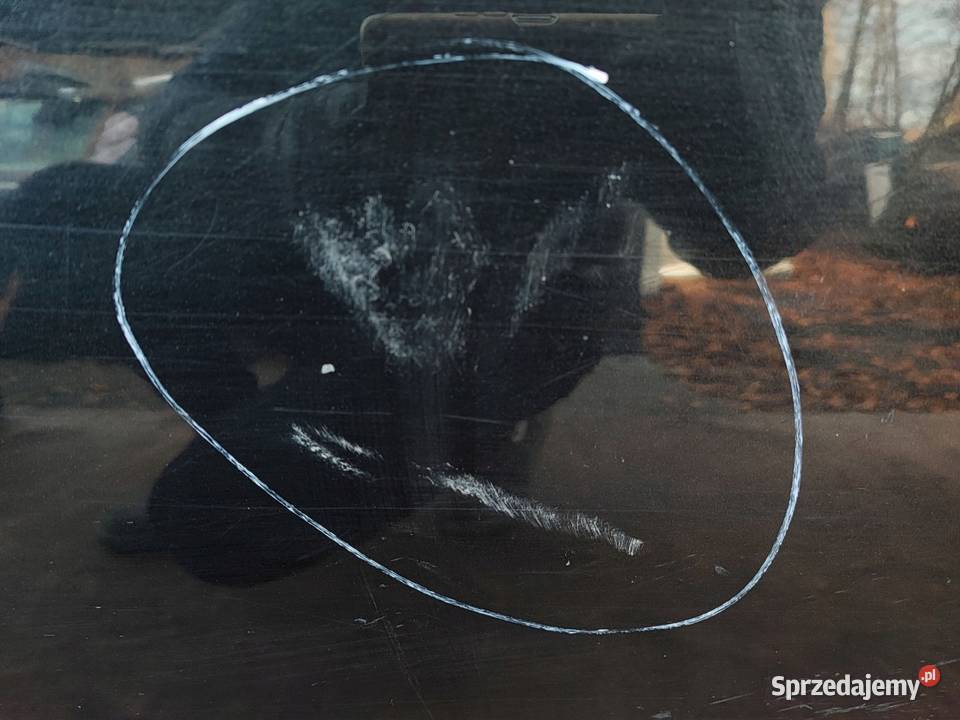 CHEVROLET CAPTIVA I 09r Drzwi lewy przód 20 świętokrzyskie Kielce