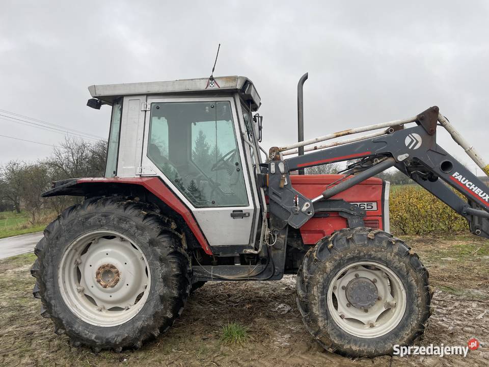Massey Ferguson 3065 mazowieckie Lipsko