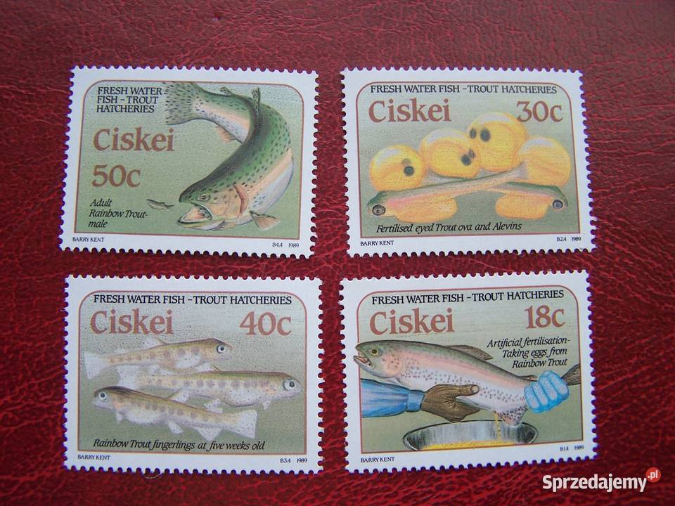 Ciskei 1988 MNH Mi 15356 Fauna Ryby Tychy