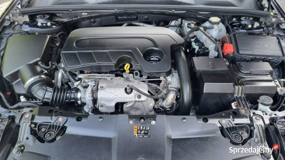 Opel Insignia Automat Navi Kamera Serwis serwisowany w ASO Płońsk