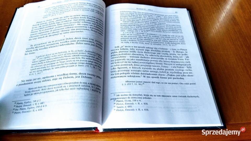 Plotyn albo Prostota spojrzenia Pierre Hadot pomorskie Gdańsk