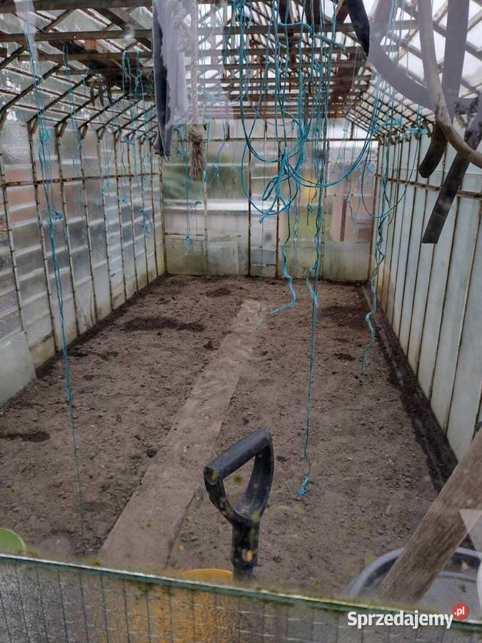 Ogród ROD Niekłonice Koszalin domek szklarnia Sprzedaż