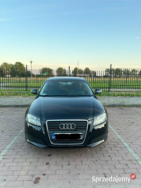 Audi A3 8P 1.6 TDI