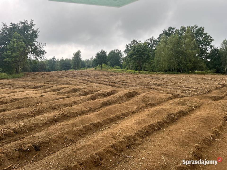 Mulczowanie działek Bochnia jest ważną częścią Nowy Targ