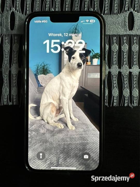 iPhone 13 śląskie Jaworzno