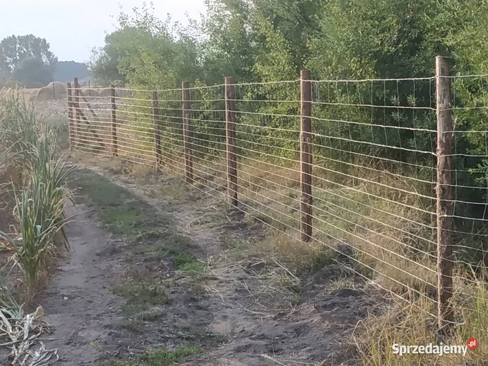 Komplet brama tymczasowa budowlana techniczna drewno Bydgoszcz