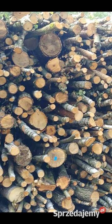 DREWNO OPAŁOWE na sprzedaż Przasnysz