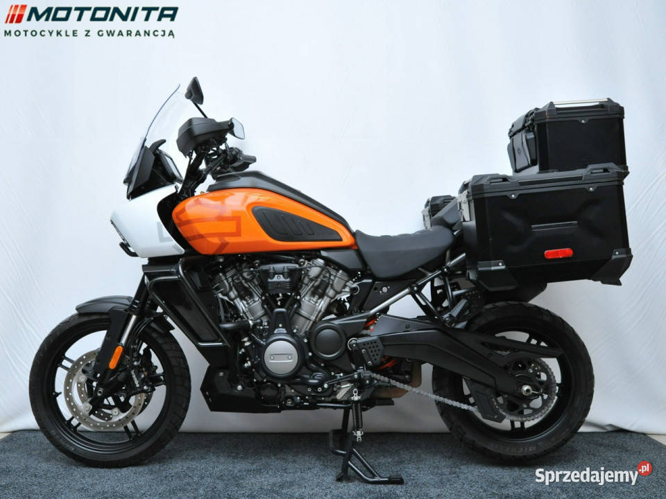 HarleyDavidson Nightster HarleyDavidson Pan zarejestrowany w Polsce Podkowa Leśna