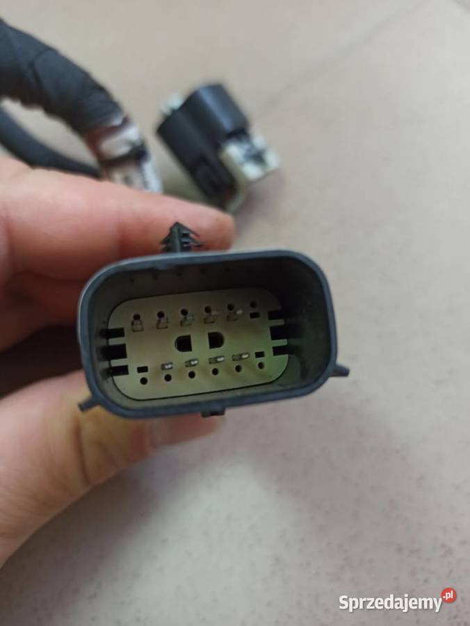 Wiązka wtryskiwaczy Captiva Lift 30 258 LF1 podkarpackie Dębica