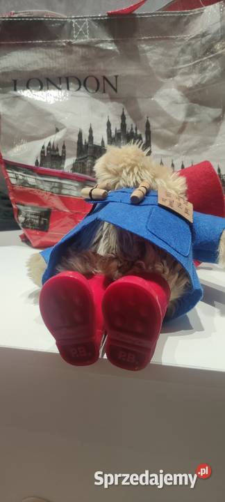 Miś PADDINGTON sprzedam