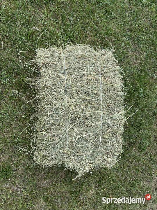 Siano w kostkach zbiór 2025 Pozostałe śląskie Winowno sprzedam