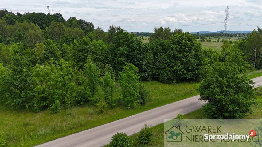 Działka 59500m2 Toporowice 1zł/m2 Sprzedaż