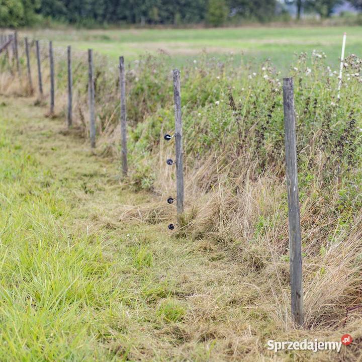 Kosiarka ATV do przycinania brzegów trawnika Maszyny rolnicze Legnica sprzedam