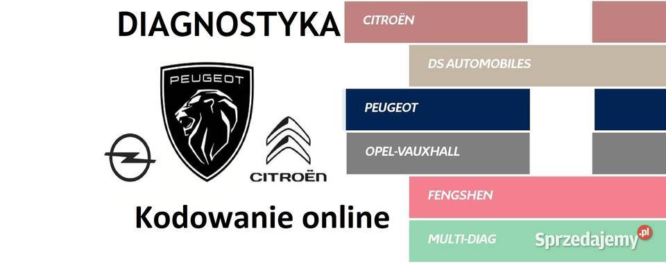 Kodowanie ONLINE Citroen Peugeot DS OPEL Annopol