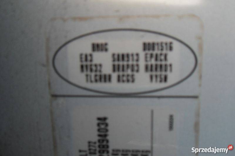 KATALIZATOR RENAULT MEGANE II 19 DCI 120 podkarpackie Nisko sprzedam