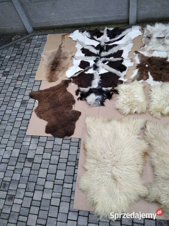 Skóra naturalna dekoracja dywanik chodnik wielkopolskie Gniezno sprzedam