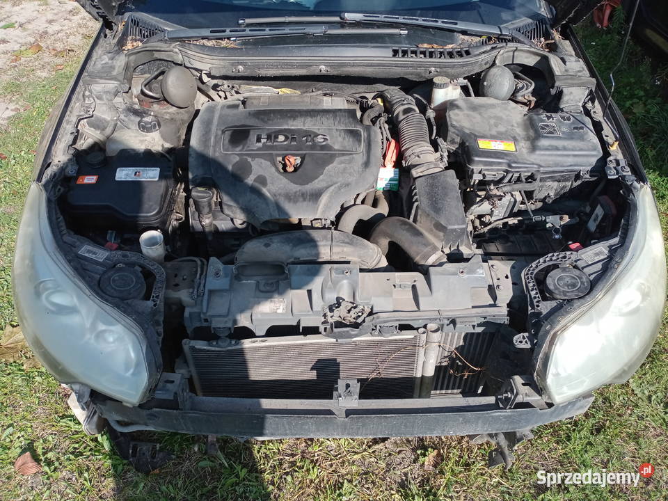 Citroen C5 Części osobowe Łuków sprzedam