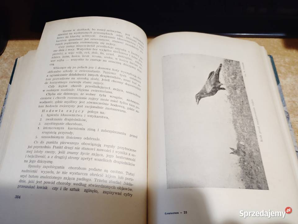 ŁOWIECTWO Podręcznik leśników i myśliwych Iwno