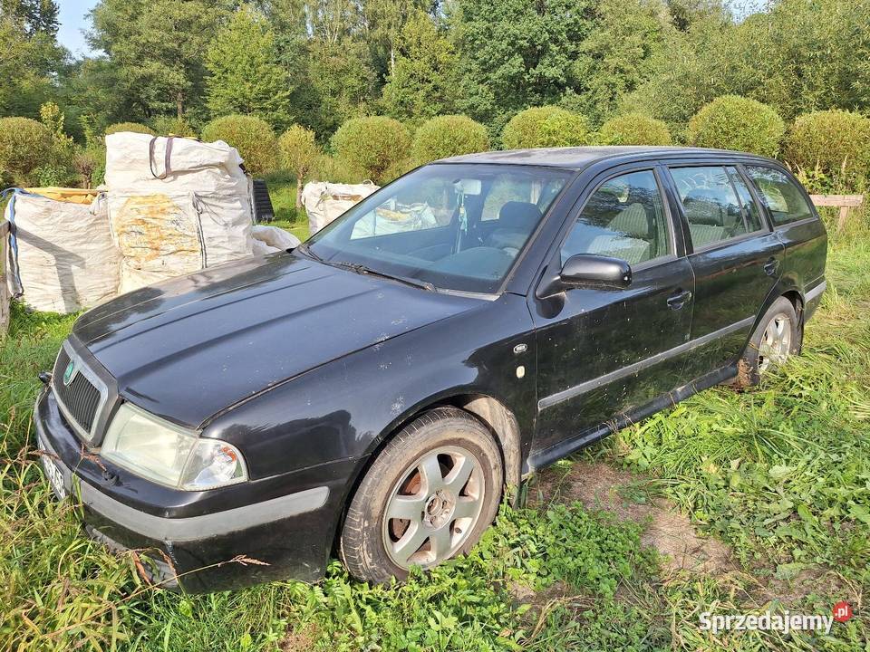 Skoda Octavia Przybradz