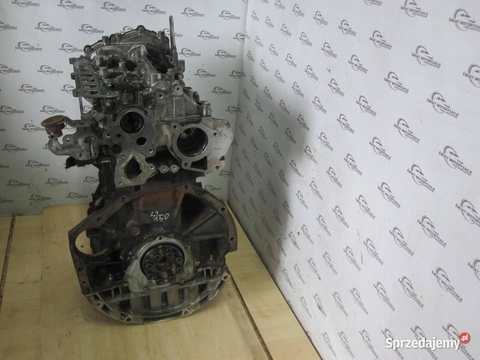 NISSAN XTRAIL KOLEOS QASHQAI 20 DCI M9R833 4X4 świętokrzyskie sprzedam