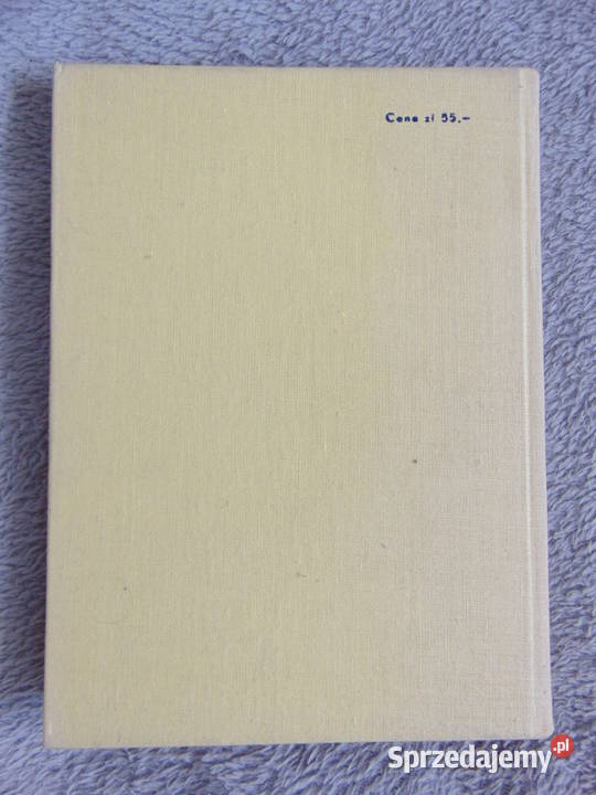 Historia Literatury Tureckiej Płaskowicka filologie, językoznawstwo Lublin sprzedam