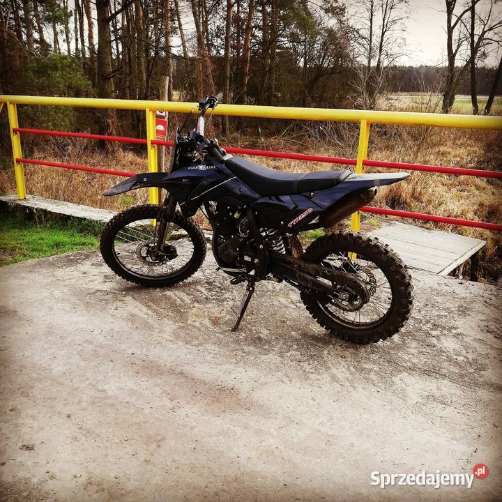 Diabolini TTR250