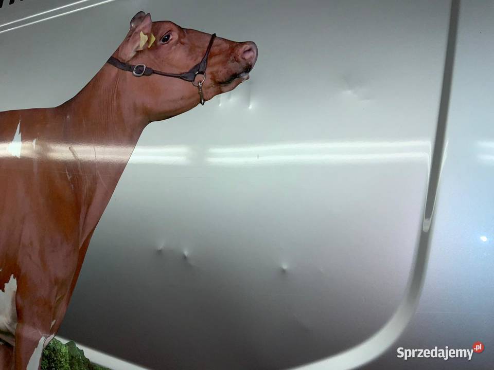 Daily 50C21 35t L3 uszksilnik sprowadzony Wrocław