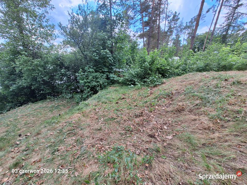 odstąpię dzierżawę działki z linia brzegową i 350m2 Sycowa Huta
