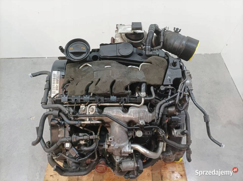 SILNIK KOMPLETNY DIESEL CBB 20 TDI VW Volkswagen Rok produkcji 2008