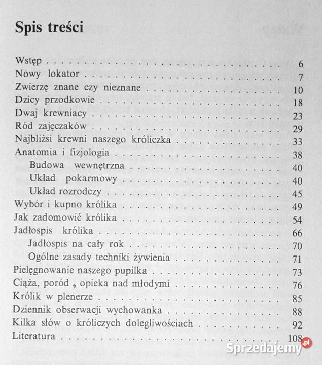 Królik miniaturowy Maria Taborska Chełm