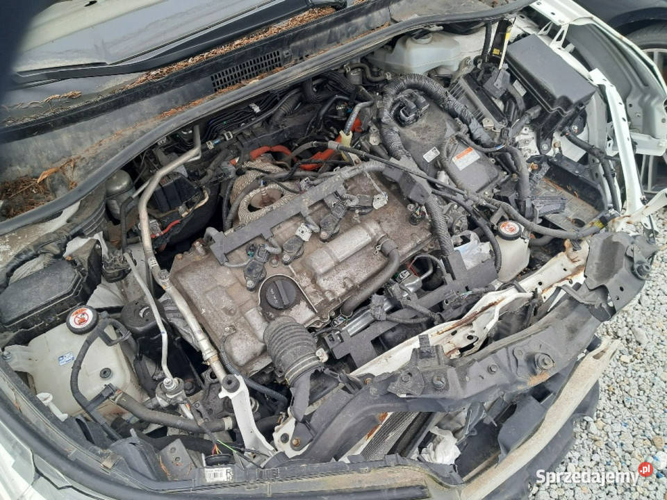 Toyota CHR Rok produkcji 2022