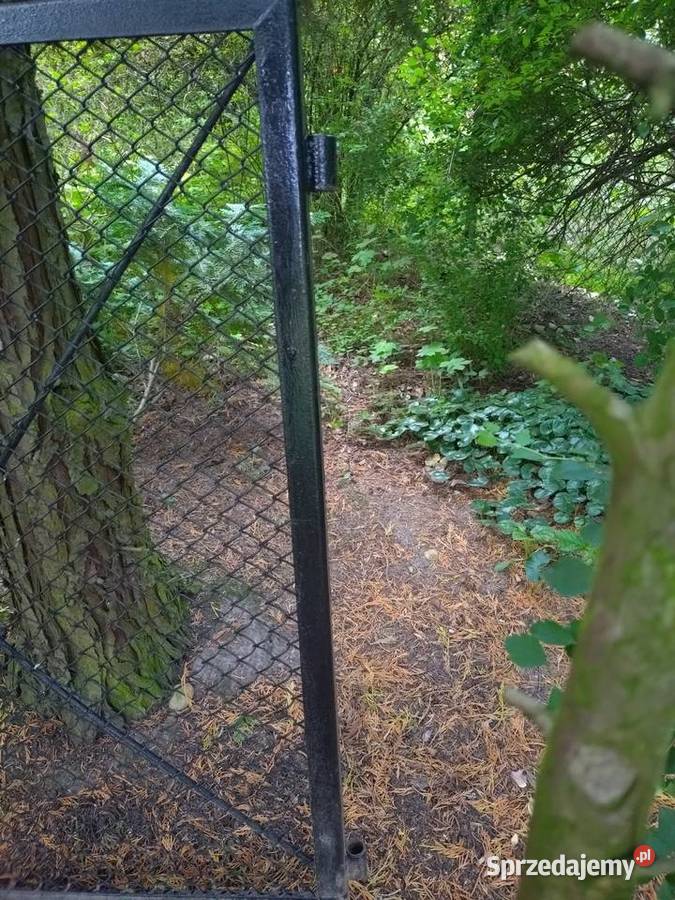 Furtka ogrodowa stalowa Poznań sprzedam