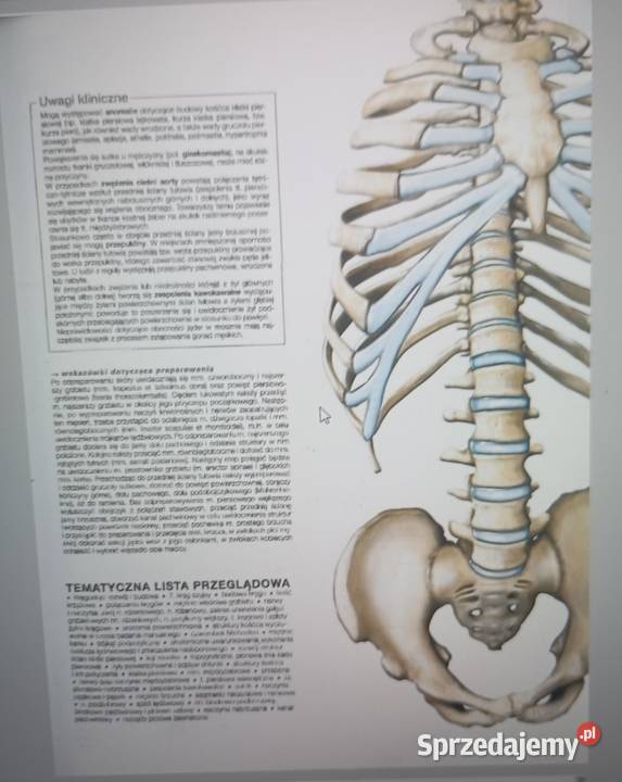 Atlasy anatomiczne Sobotta 3 części pdf Radom