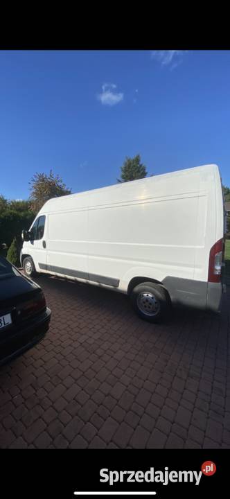 Tani Transport Utylizacja Przeprowadzki Wiele