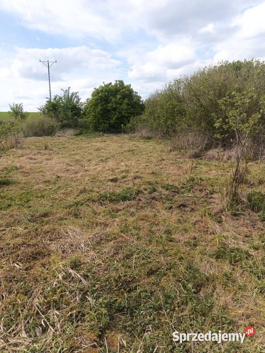 Działka budowlana na mazurach Dźwierzuty