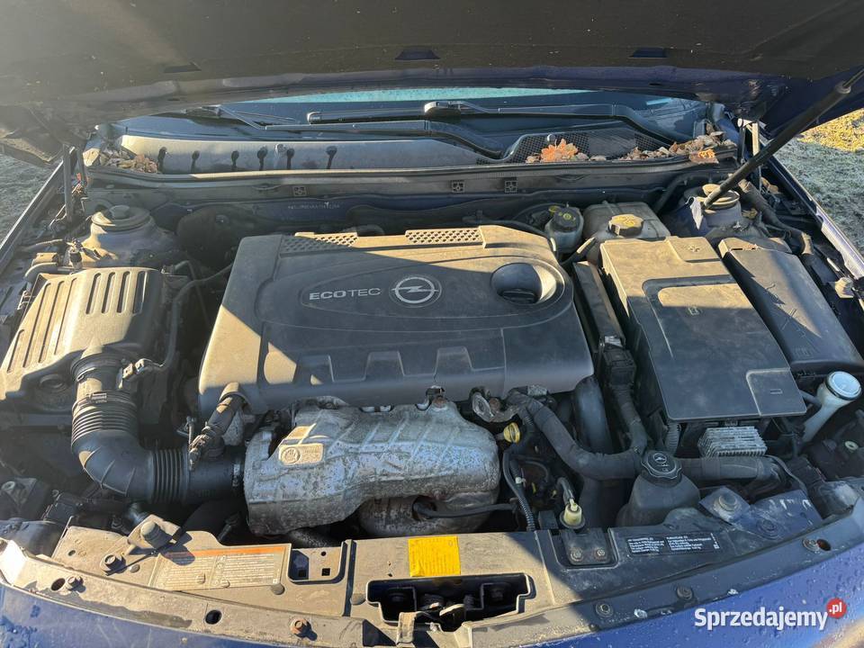 Insignia 2010 3999 nie odpala Chełmsko Śląskie