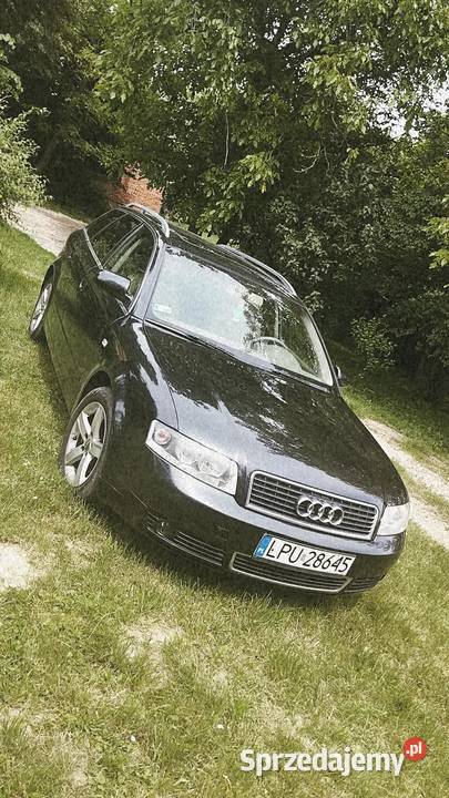 Audi a4 b6 Płonki