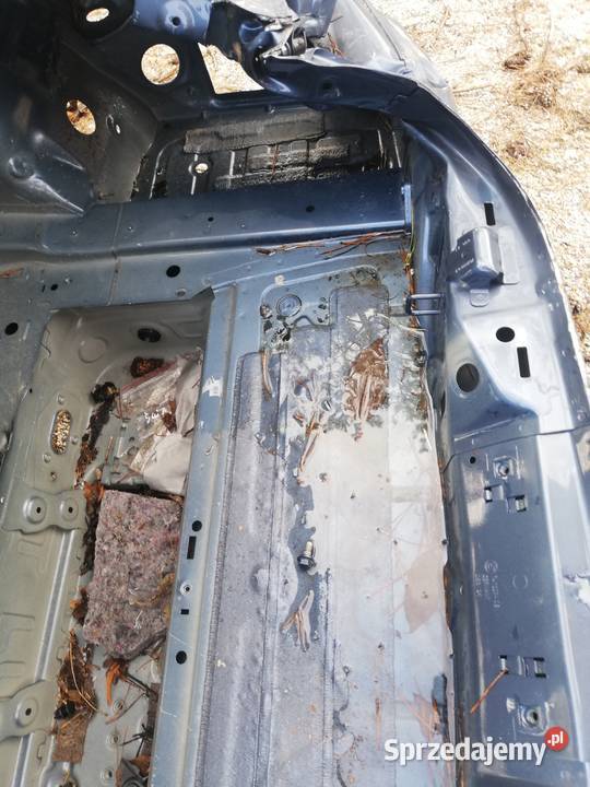 Karoseria buda bmw g22 g82 420i 430i m440i m4 osobowe dolnośląskie Pęgów